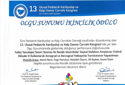 İkincilik Ödülü